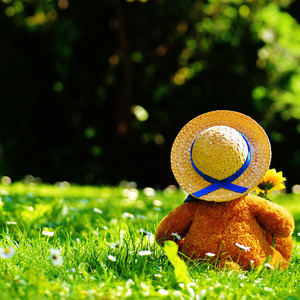 精品国产乱码久久久
