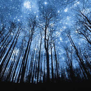 精品国产乱码久久久
